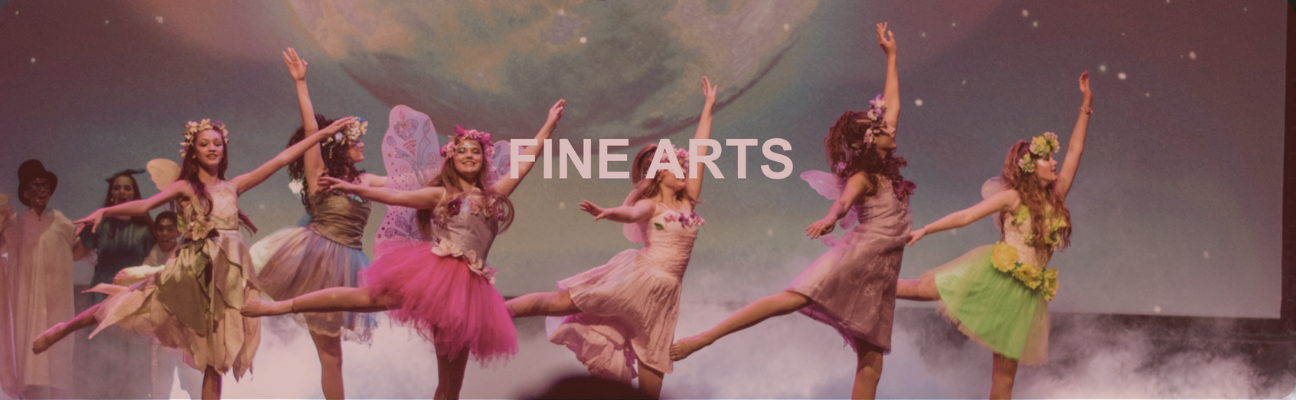 Fine Art Dance