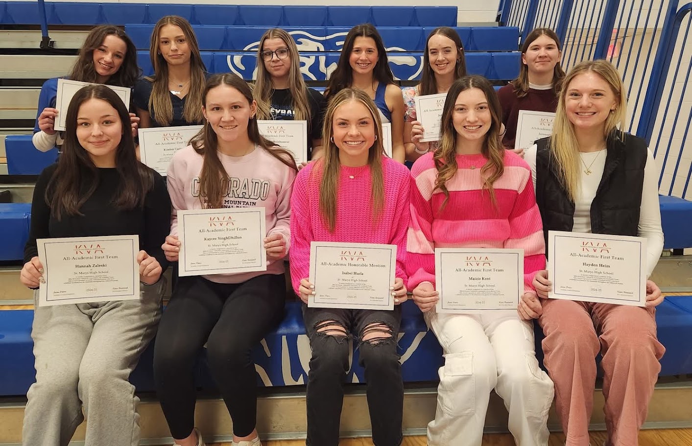 Volleyball All-Academic