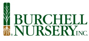 Burchell-nursery