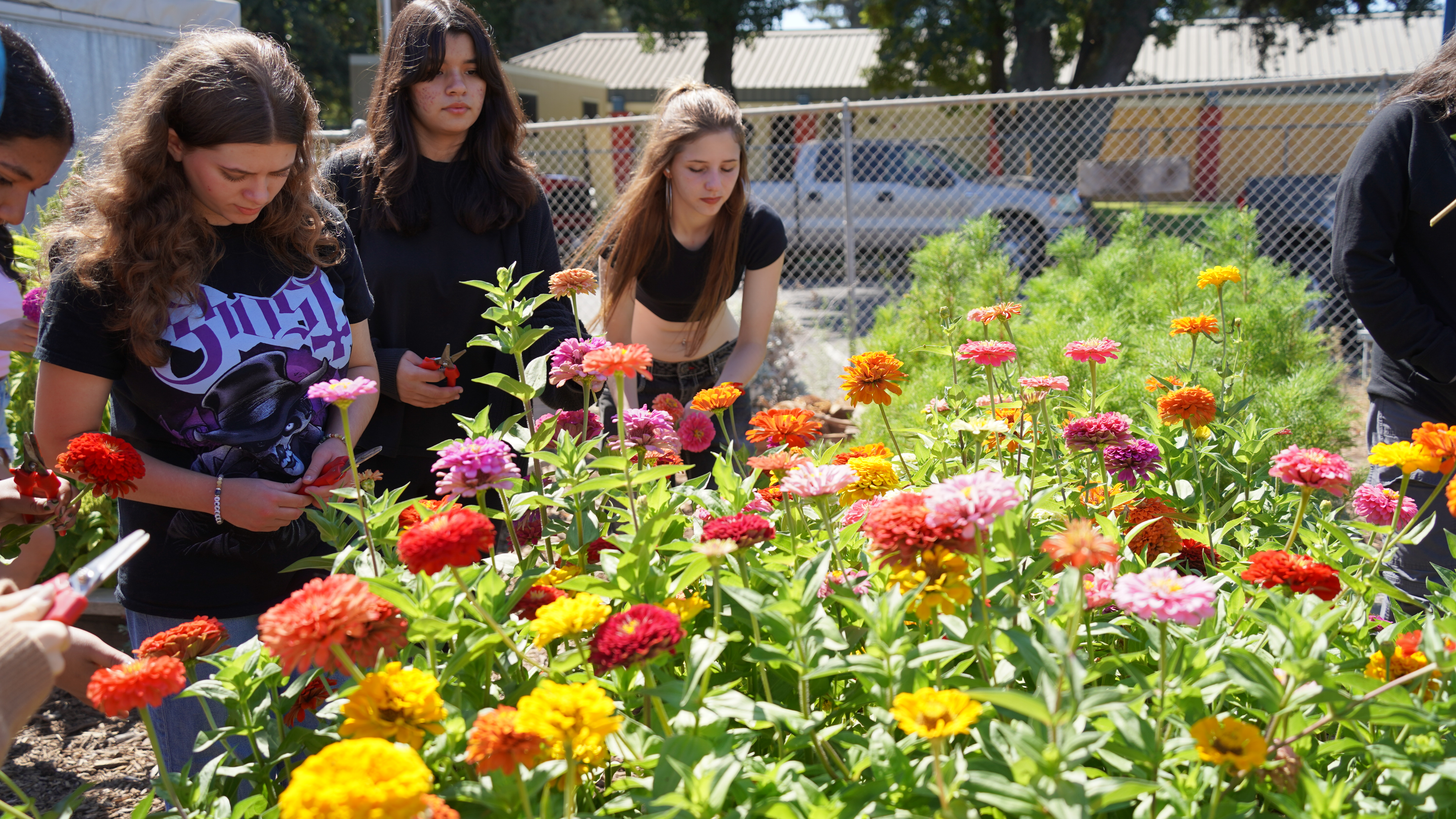 students in flowers