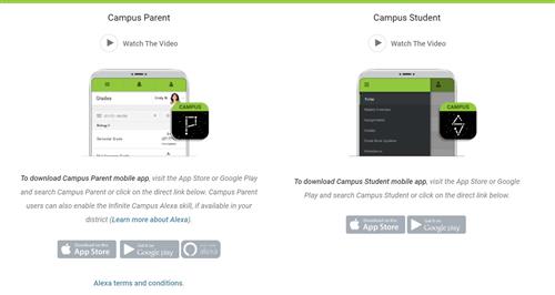 image check infinite campus applications