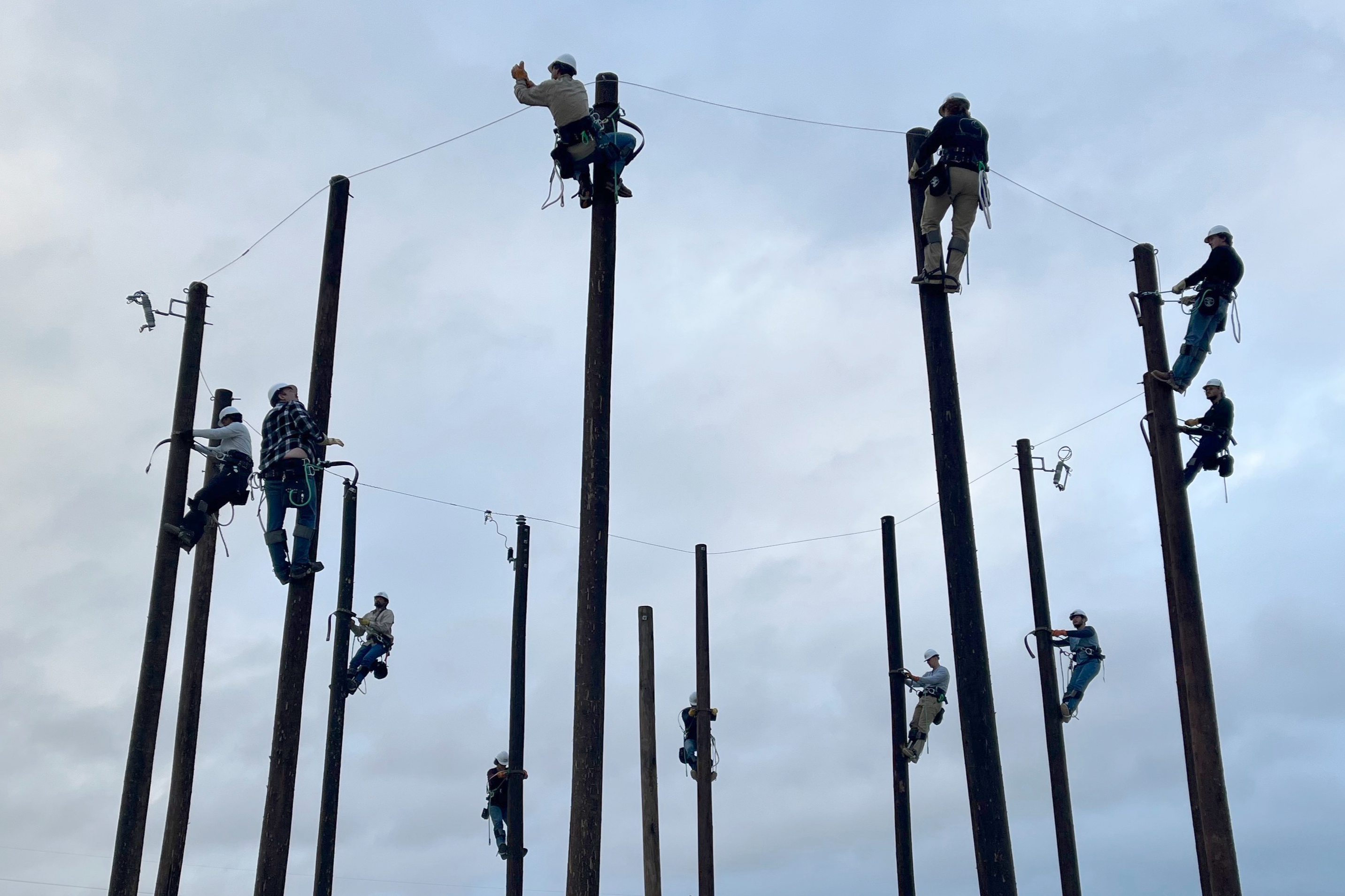 Line workers on poles