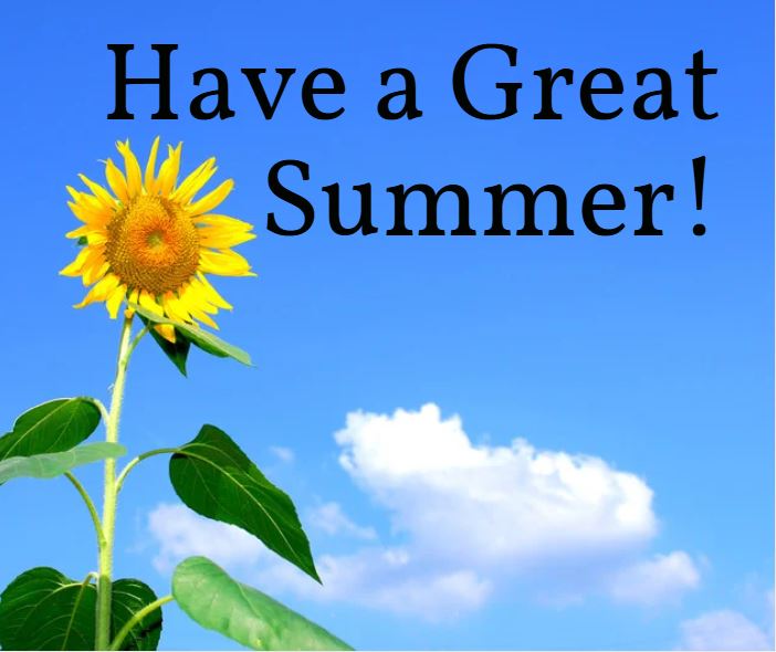 Picture of a sunflower with the words, have a great summer