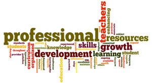 word cloud with the word professional in largest font