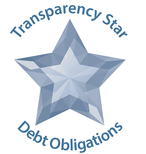 Transparency Star Debt Obligations