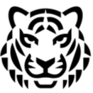 Black Tiger icon