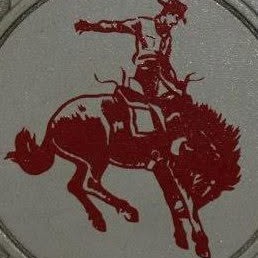 Faded red illustration of a cowboy riding a bucking bronco, printed on a circular gray background, evoking a vintage 1963 Cowboys mascot logo.