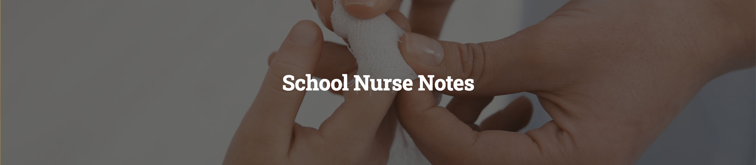 School Nurse Notes