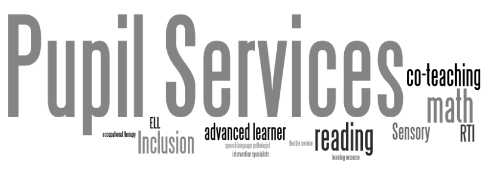 Pupil Services/Special Education