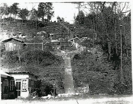 Cedar Steps