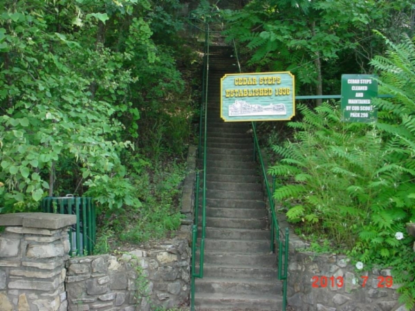 Cedar Steps