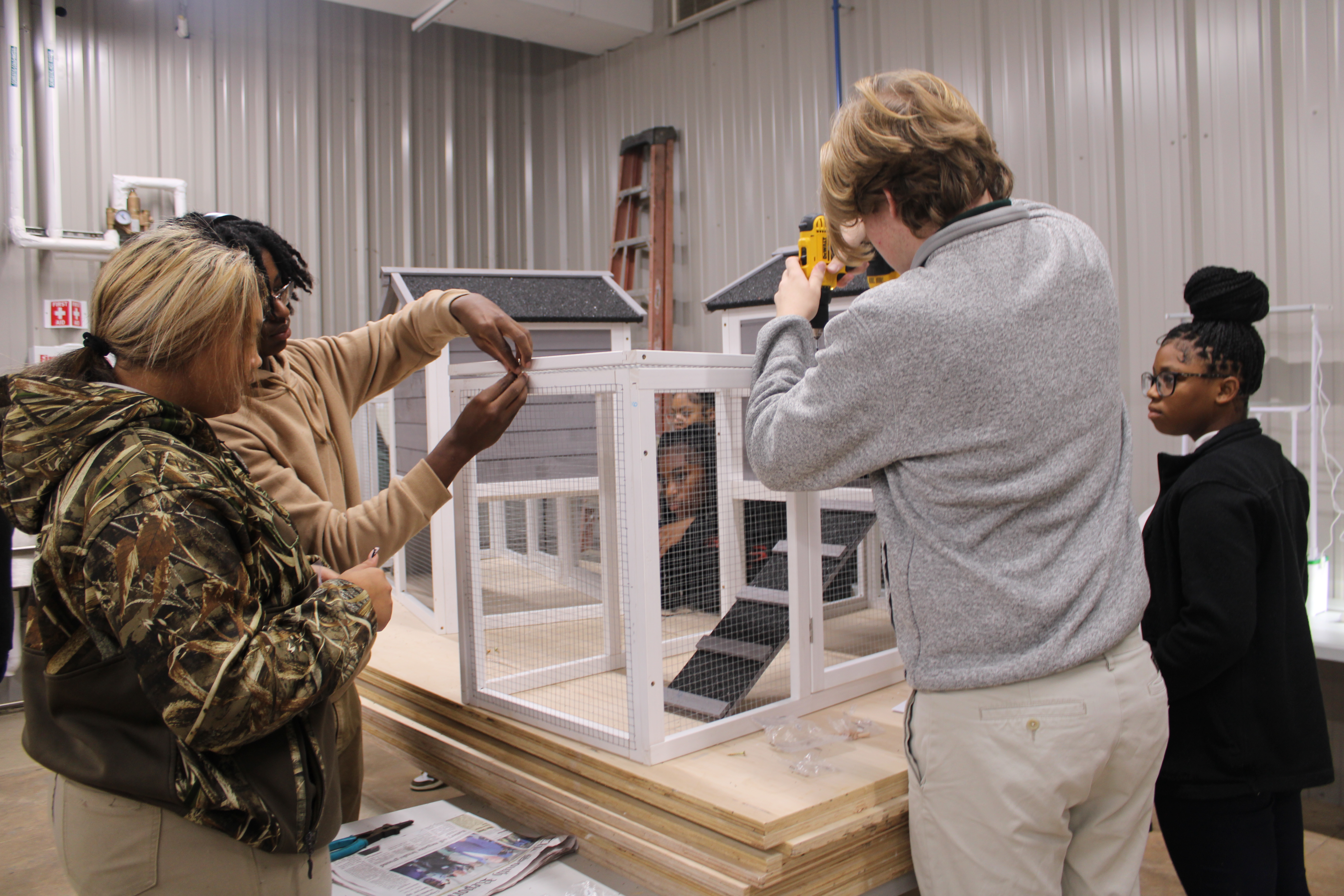 Students building a bunny hutch