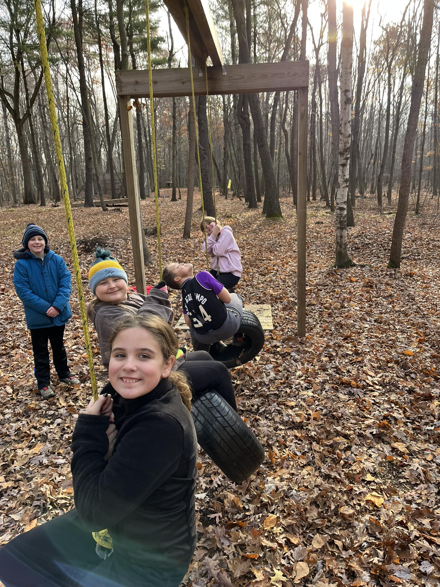 Tire swing