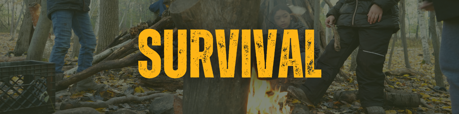 Survival