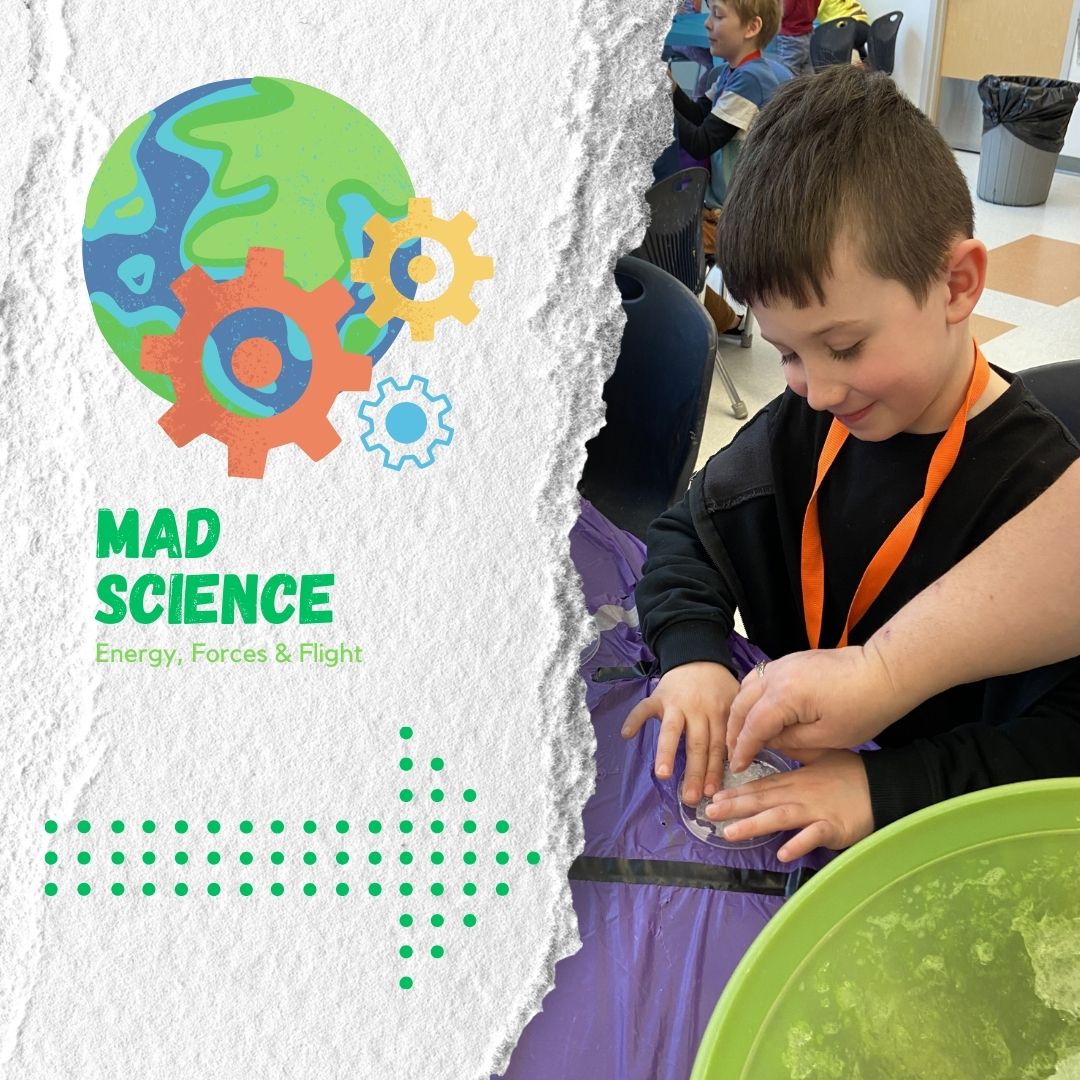 mad science flyer