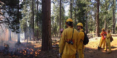 Two firefighters standing in front of forest fire