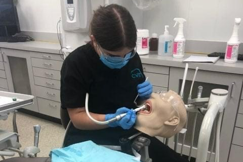 Student performing dental exam on mannequin