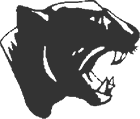 Superior panther logo
