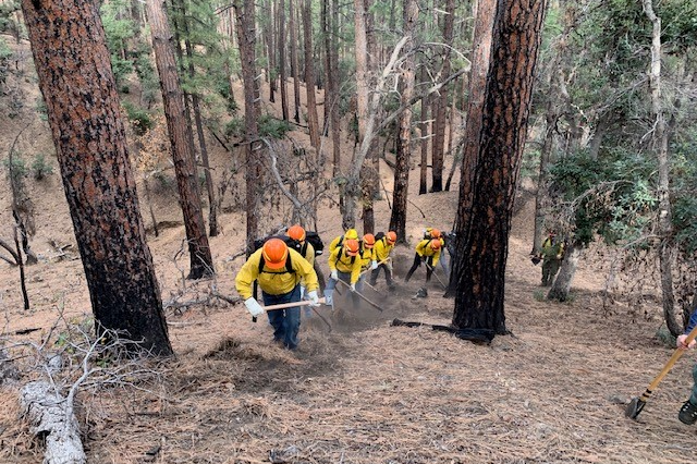 Two firefighters standing in front of forest fire