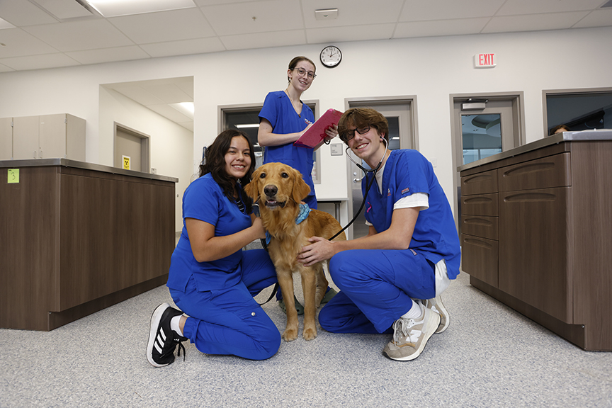 pre-veterinary science