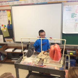A student in the Too Good for Drugs program at Ballard looks at healthy lungs versus diseased lungs.