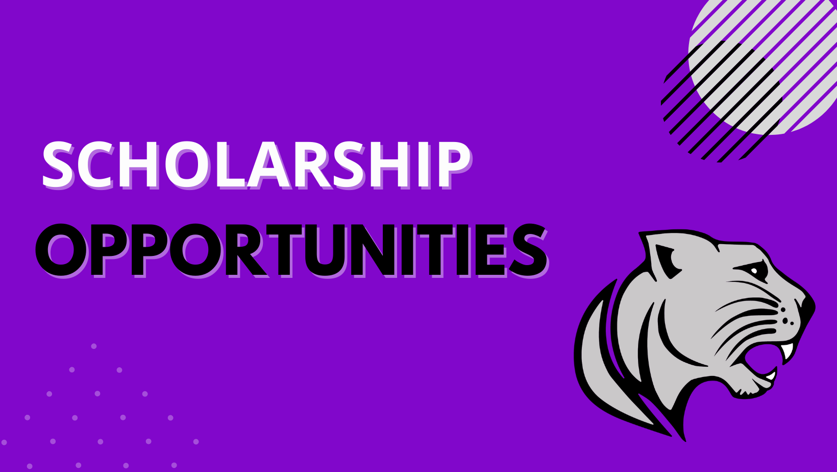 Scholarship Opportunies