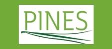 pines