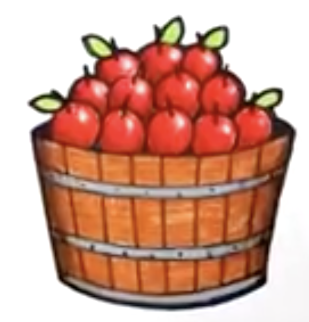 apple barrel