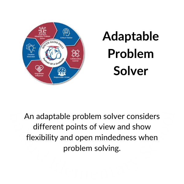 Adaptable Problem Solver:  An adaptable problem solver considers different points of view and show flexibility and open mindedness when problem solving.