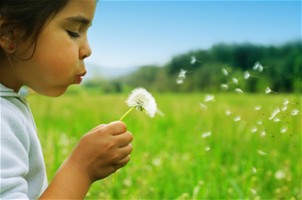 kid blowing a dandelion