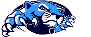 china spring logo