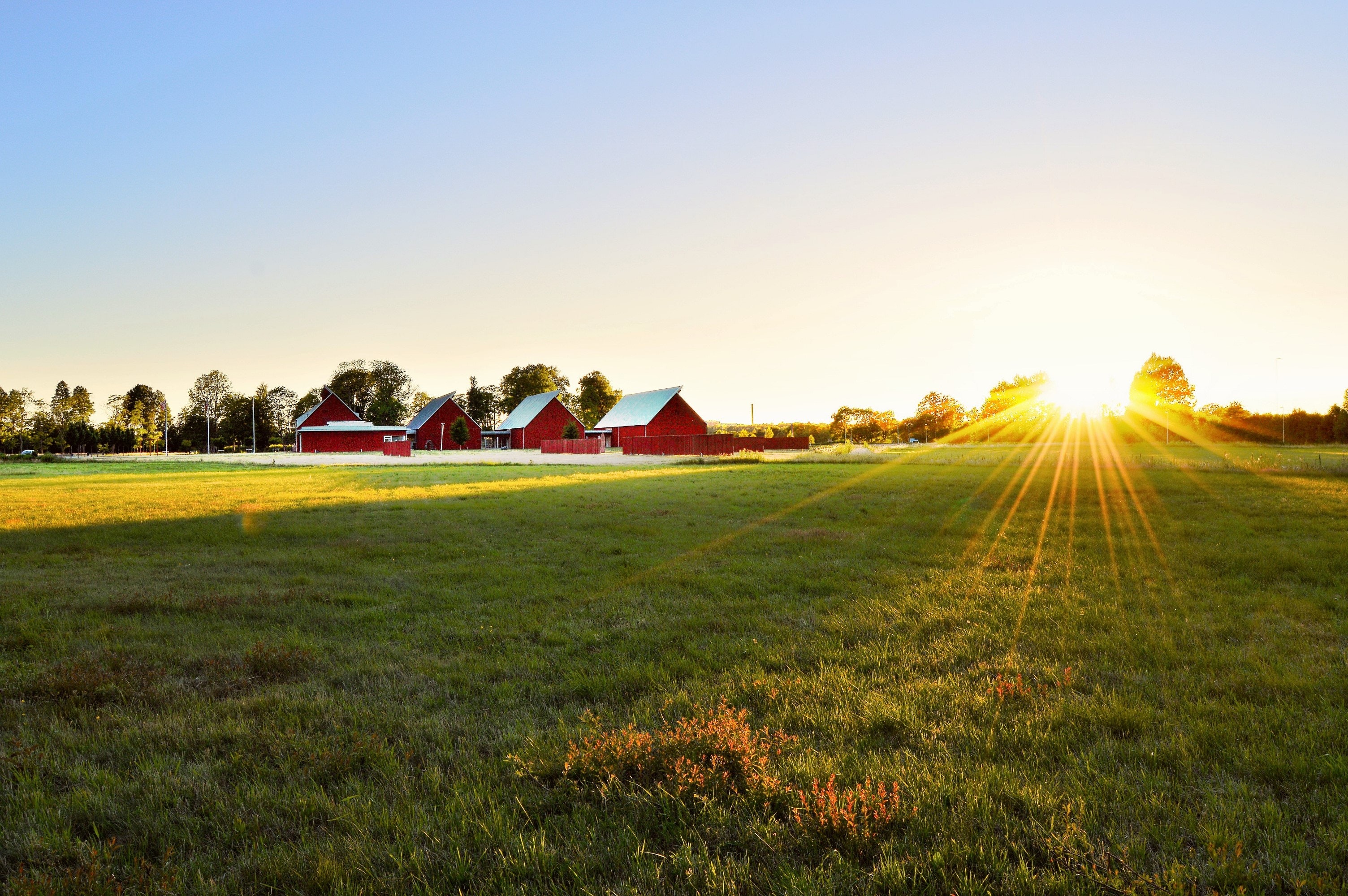 farm land with a red barn and sunrise in the background