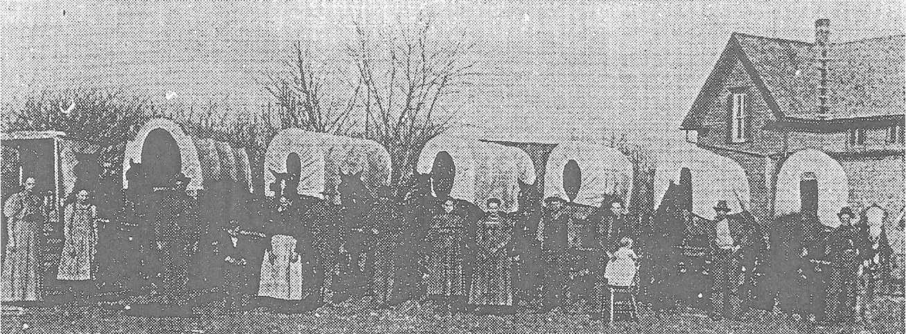 black and white photo of families standing in front of covered wagons