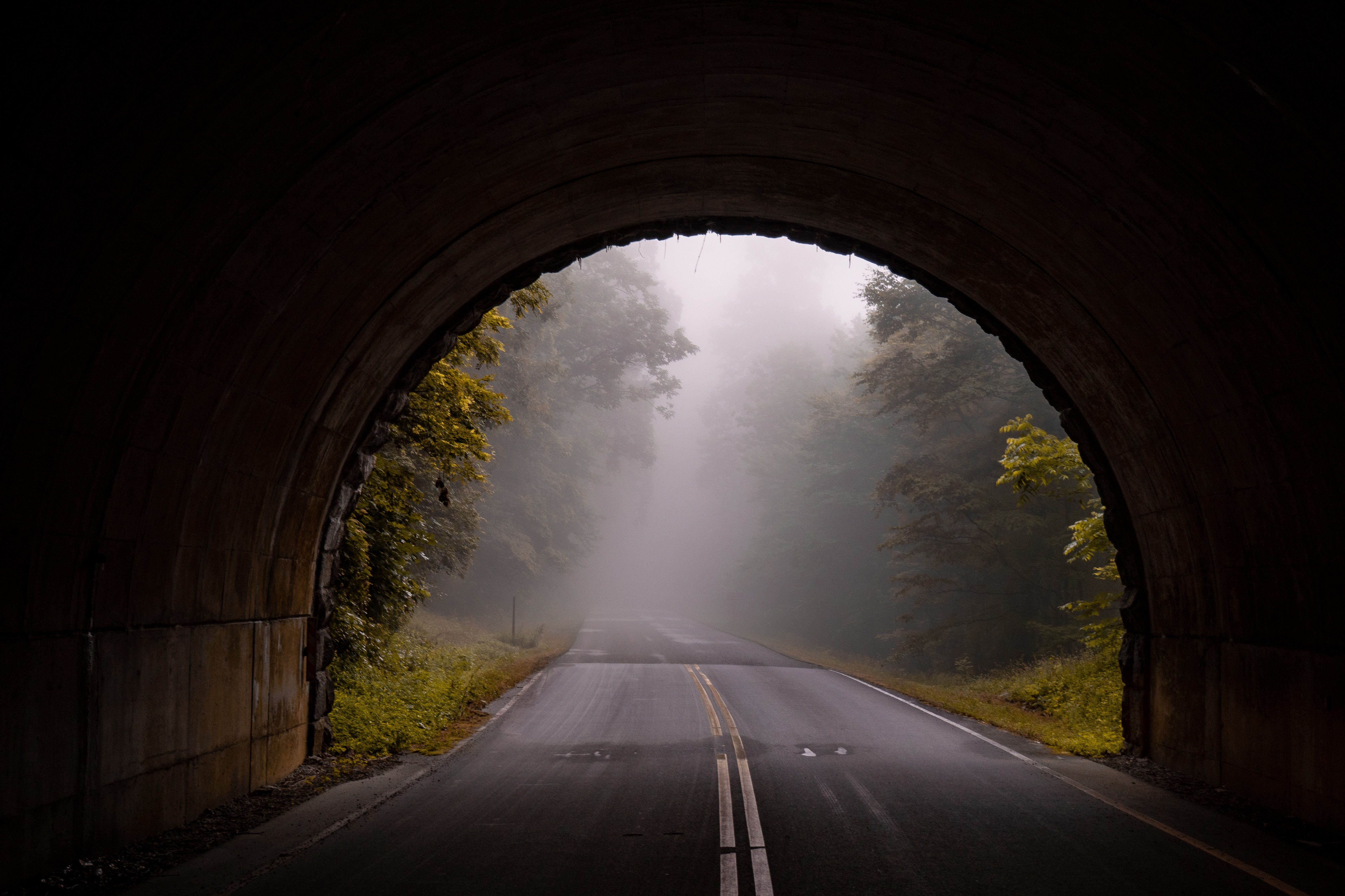 A dark tunnel leading into a foggy road with trees and foliage.