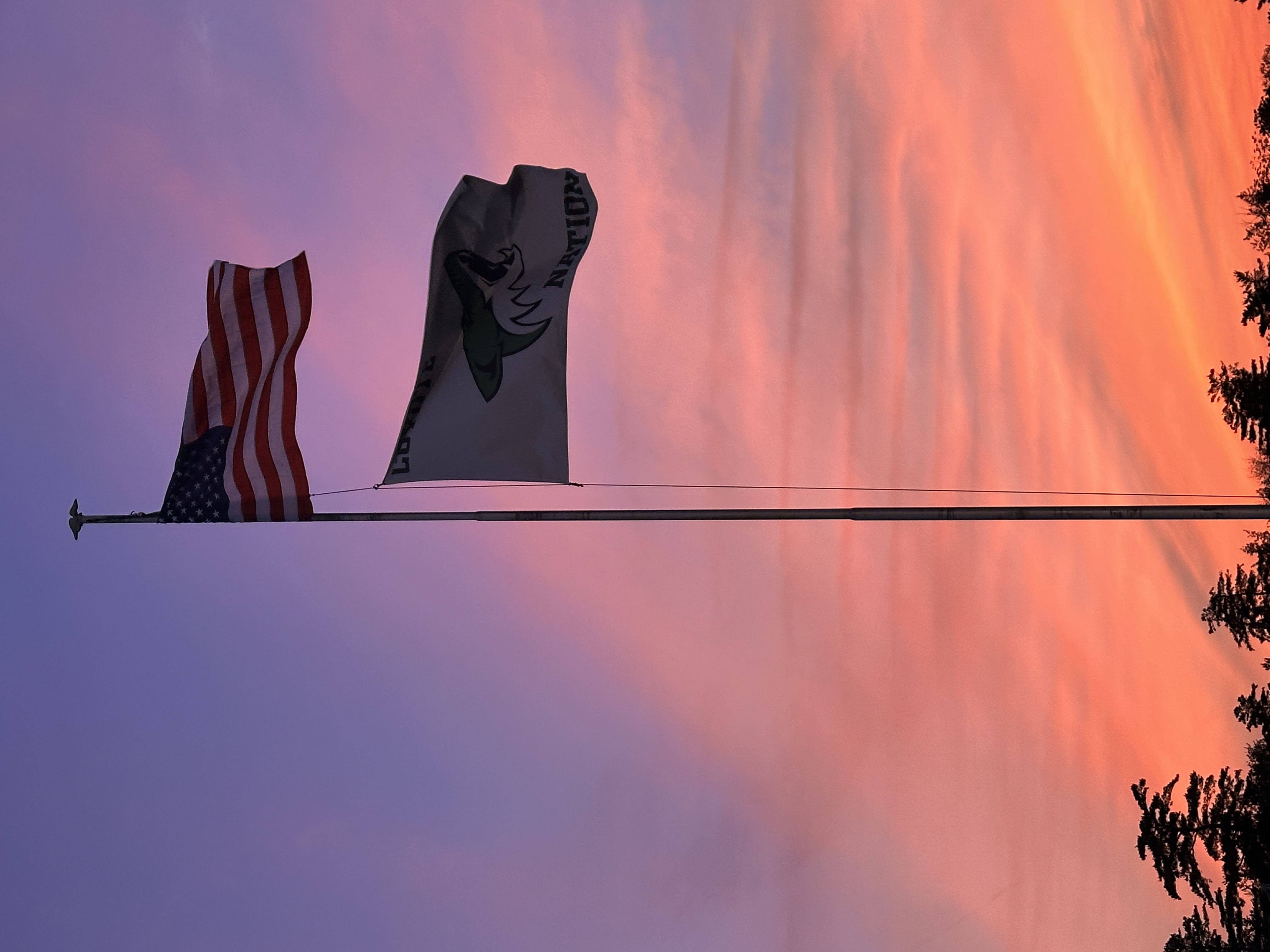 Flag