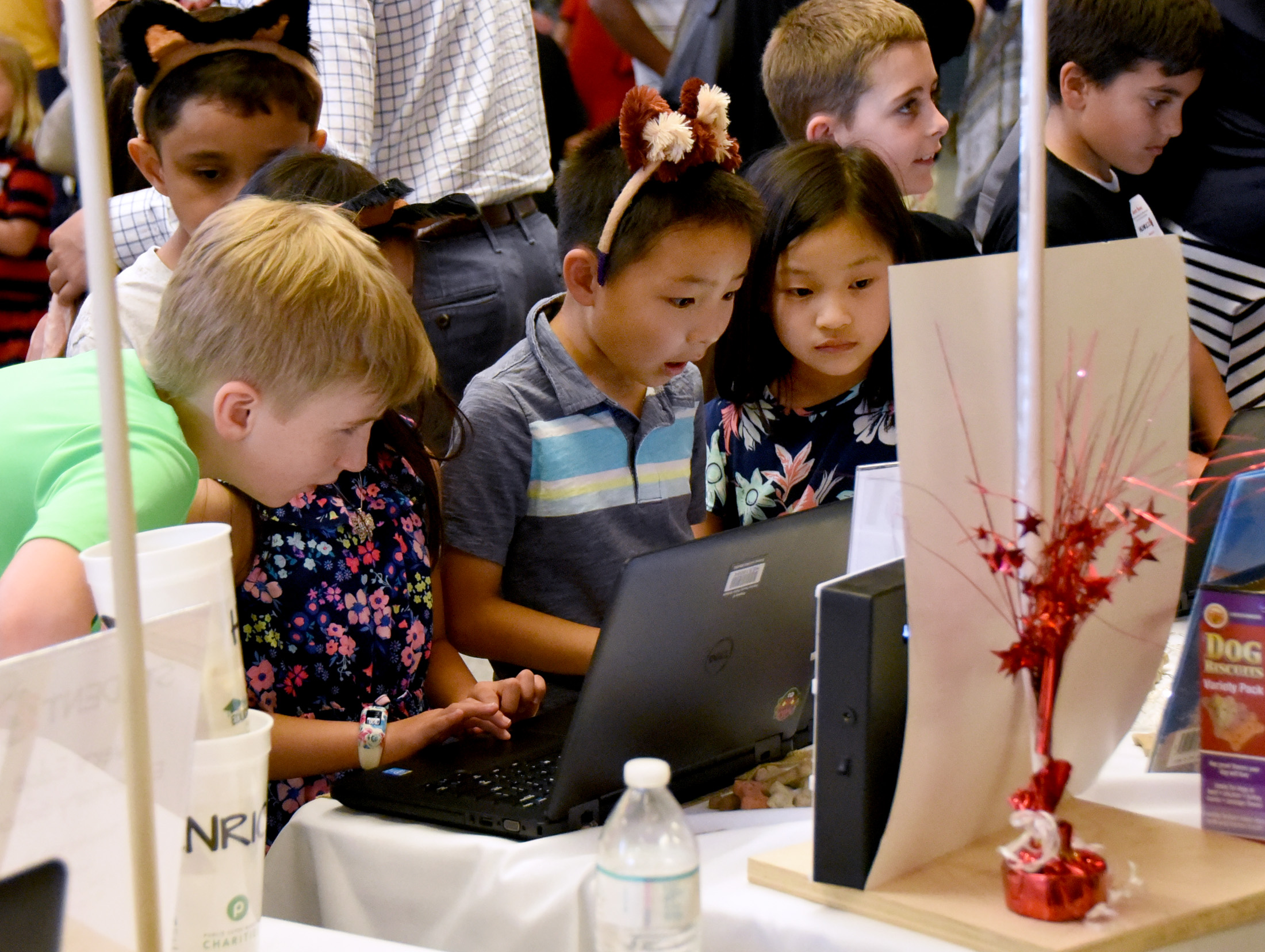 Students engaged in activity on laptop.