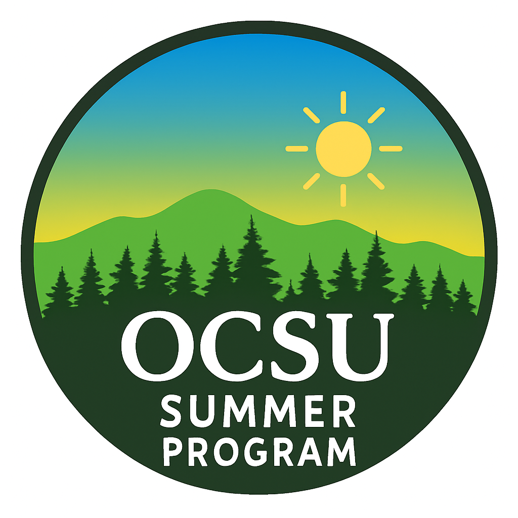 summer program banner