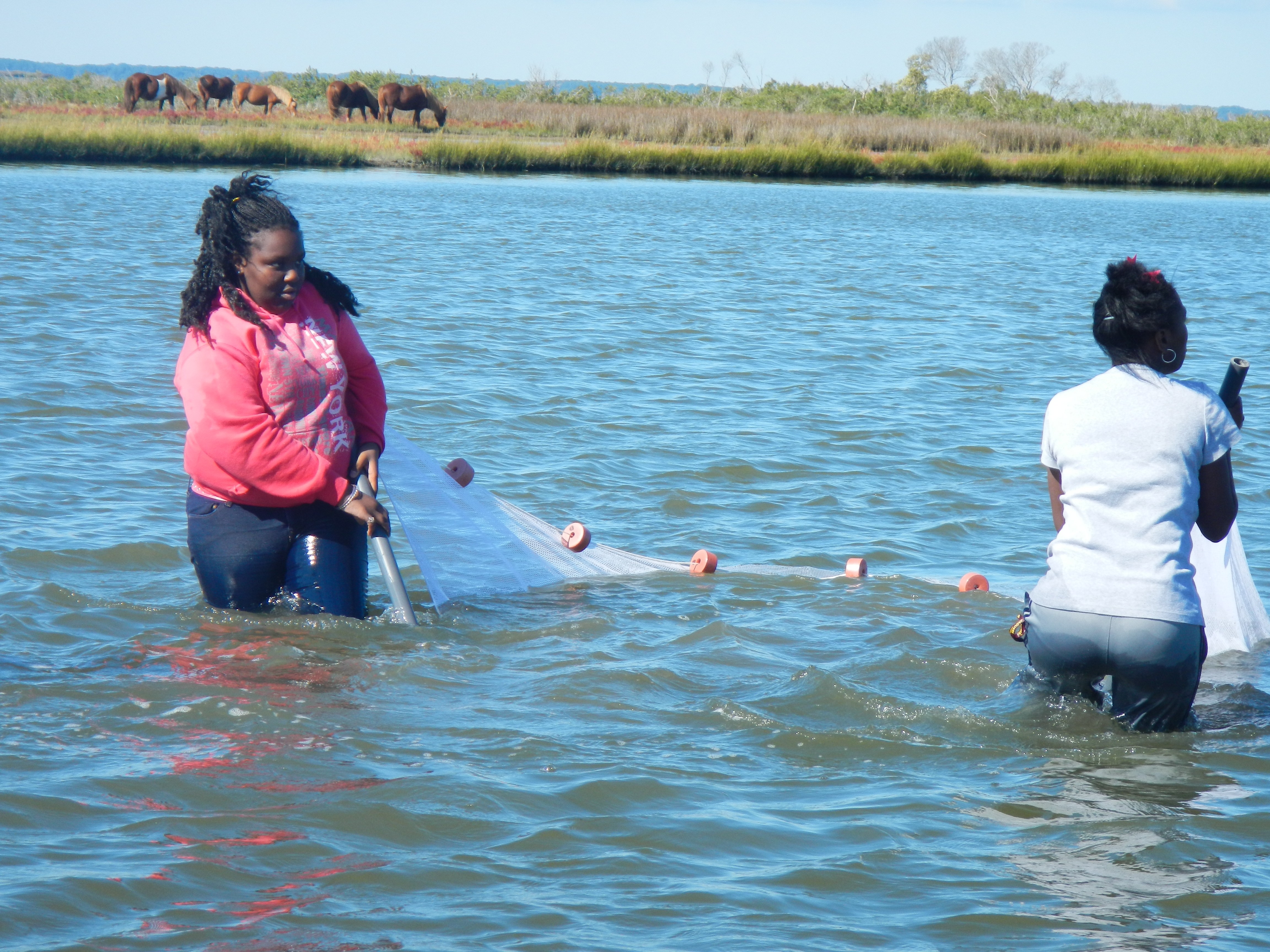 photos of science staff doing experiments with students