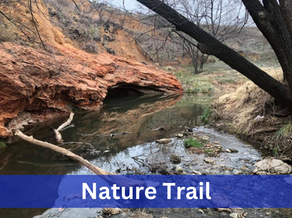 Nature trail with creek and trees