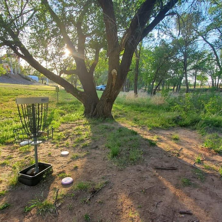 Disc golf hole by tree 