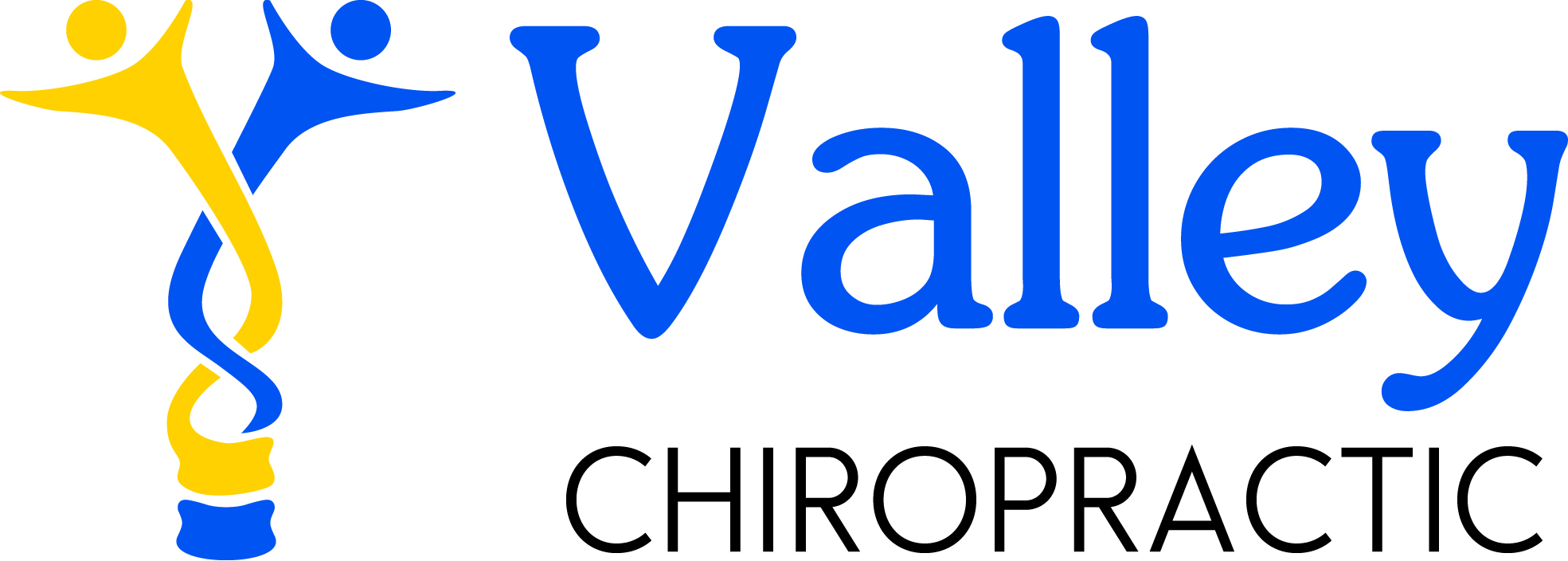 Valley Chiropractic 