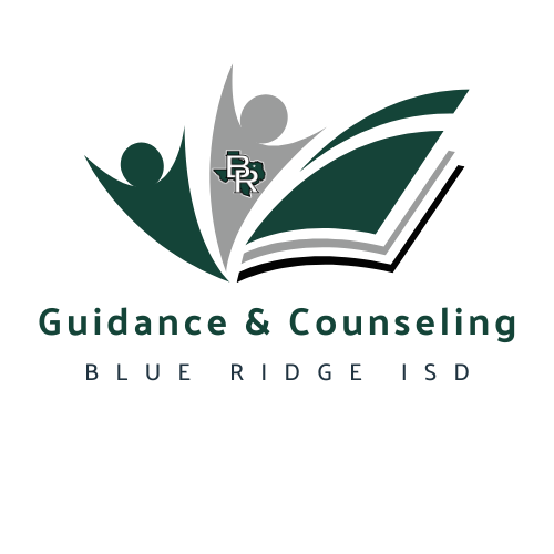 guidance and counseling