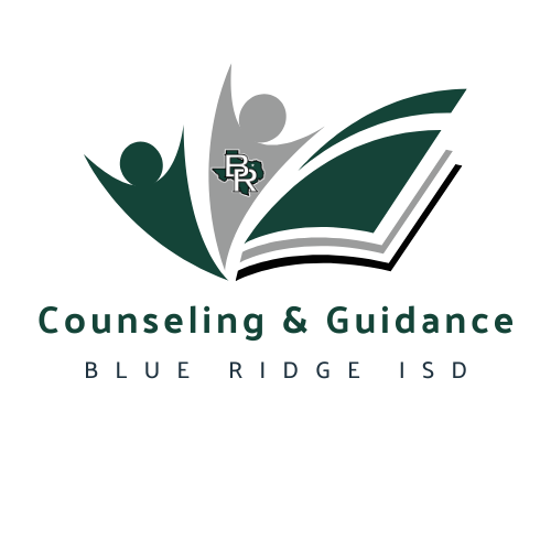 guidance and counseling