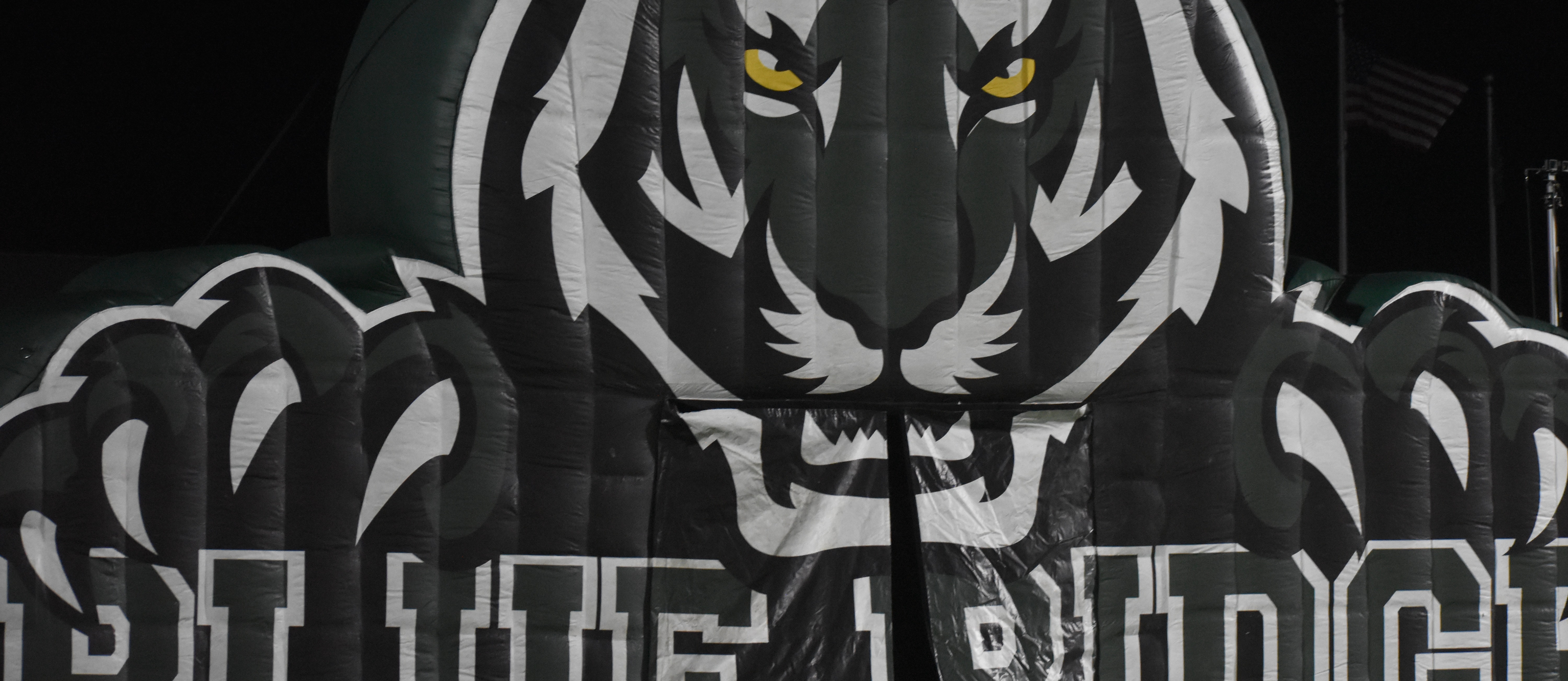 blue ridge blow up tiger on field