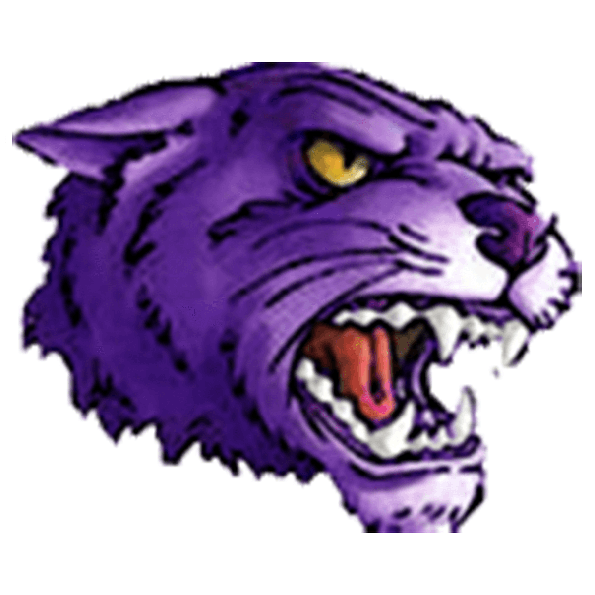 JH Girls Basketball USD 454 Burlingame