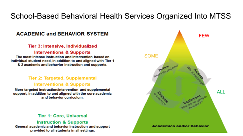 Behavior Health Slide