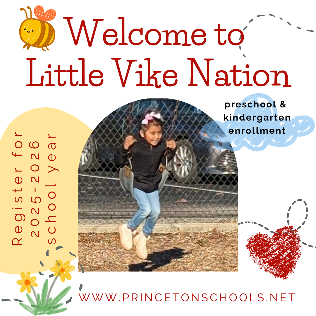 Welcome to little vike nation, words with crayon images and little girl on a swing