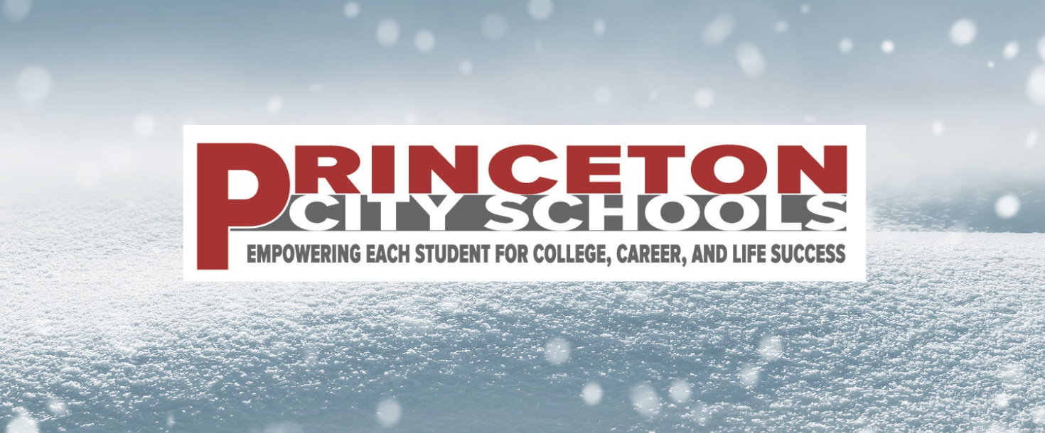 Princeton City Schools logo with snow background