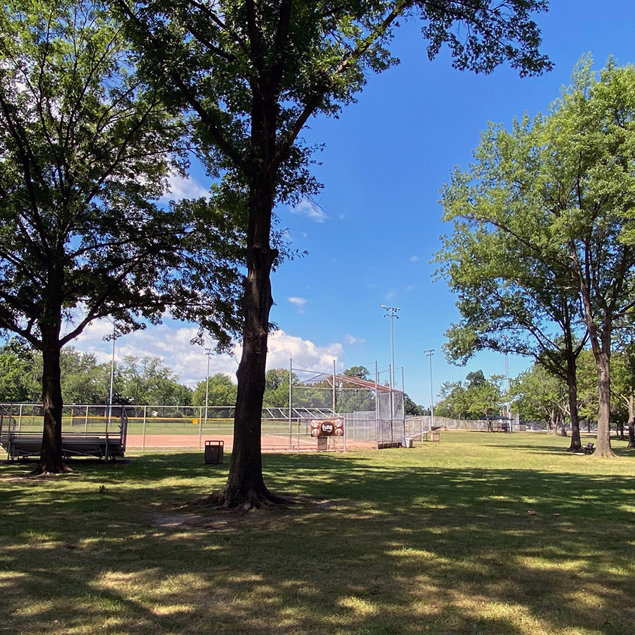 baseball field with large trees