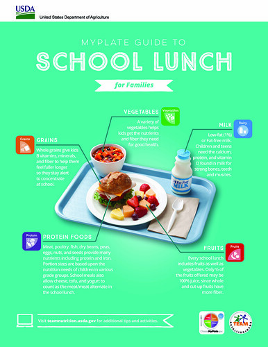 usda my plate school lunch diagram